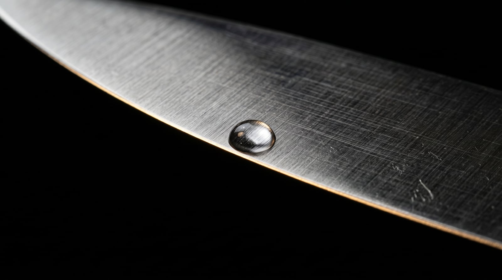 A thin razor-sharp Japanese chef's knife edge in extreme macro